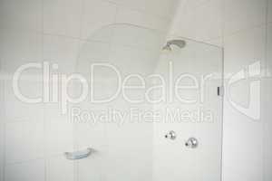 Shower with glass divide