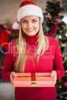 Pretty woman in santa hat smiling and holding a gift