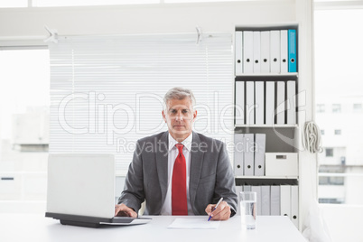 Mature businessman looking at camera