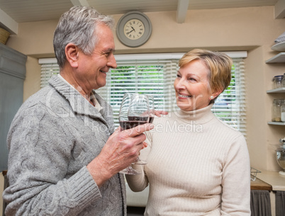 Senior couple drinking red wine