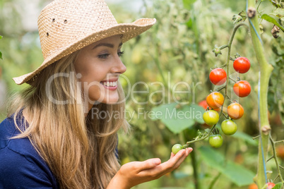 Pretty blonde looking at tomato plant