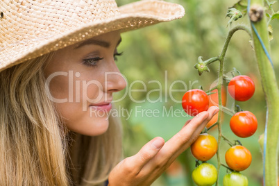 Pretty blonde looking at tomato plant