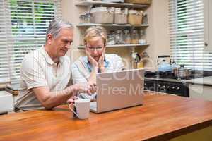 Senior couple using the laptop together