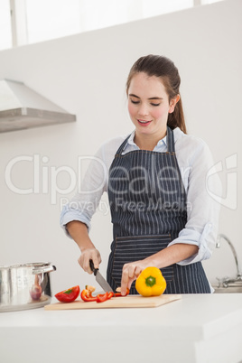 Pretty brunette cooking a healthy meal