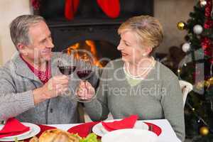 Senior couple toasting red wine