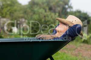 Pretty blonde napping in wheelbarrow