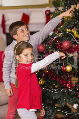 Smiling brother and sister decorating the christmas tree