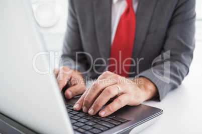 Mature businessman using his laptop