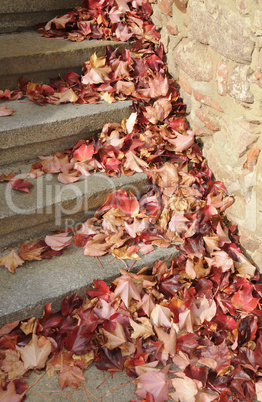 Treppe mit Herbstlaub