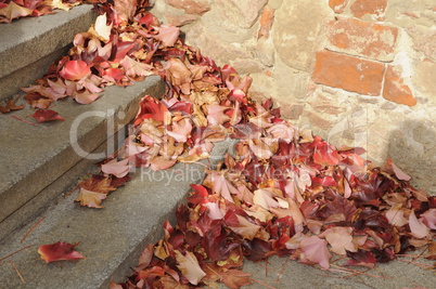 Treppe mit Herbstlaub