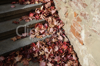 Treppe mit Herbstlaub