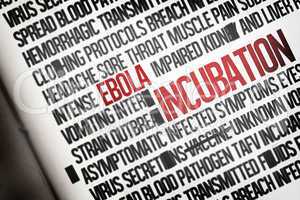 Digitally generated ebola word cluster