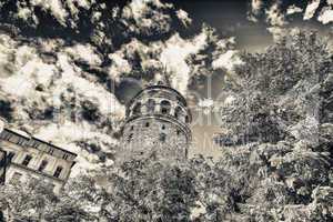 Magnificence of Galata Tower framed by trees - Istanbul, Turkey