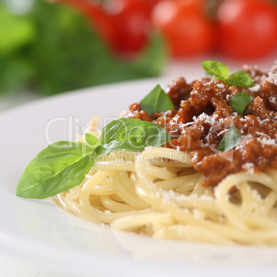 Spaghetti Bolognese Nudeln Pasta Gericht mit Hackfleisch