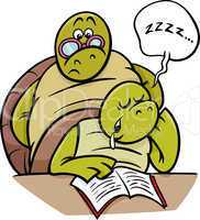 sleeping turtle on lesson cartoon