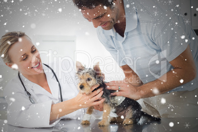Composite image of vet examining puppy with man