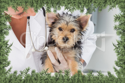 Composite image of vet holding cute puppy