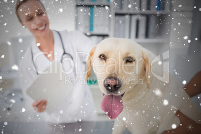 Composite image of dog with female veterinarian