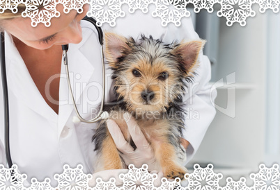 Composite image of vet holding cute puppy