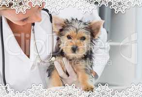 Composite image of vet holding cute puppy