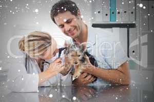 Composite image of veterinarian examining ear of puppy