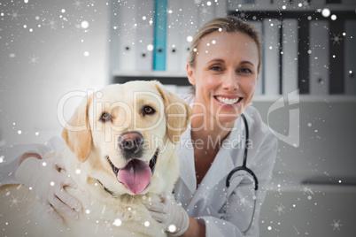 Composite image of dog with female veterinarian