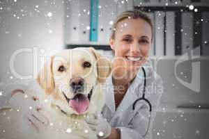 Composite image of dog with female veterinarian