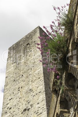 Tower and Flower