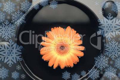 Composite image of snowflake frame