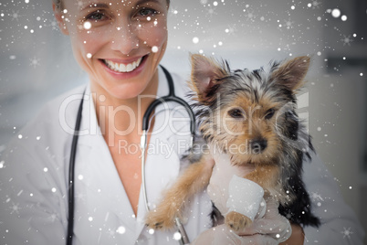 Composite image of smiling female vet holding cute puppy