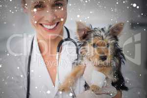 Composite image of smiling female vet holding cute puppy