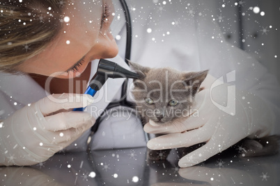 Composite image of vet examining ear of kitten