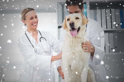 Composite image of veterinarians examining dog