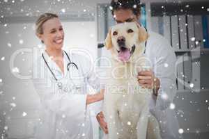 Composite image of veterinarians examining dog