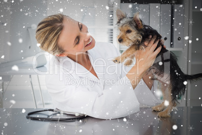 Composite image of veterinarian examining dog