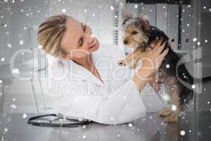 Composite image of veterinarian examining dog