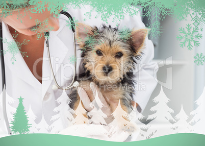 Composite image of vet holding cute puppy