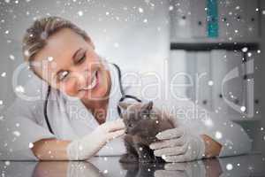 Composite image of veterinarian examining kitten