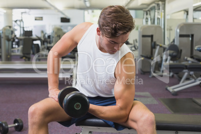 Fit man lifting dumbbells sitting on the bench