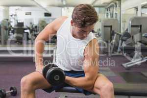 Fit man lifting dumbbells sitting on the bench