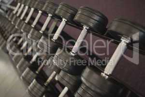 Heavy black dumbbells on rack in weights room