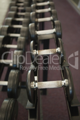 Heavy black dumbbells on rack in weights room