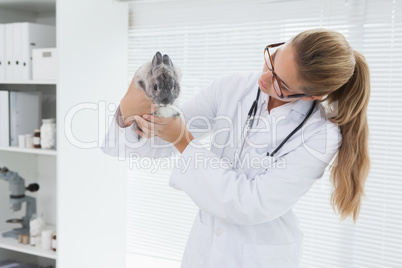 Vet holding a small rabbit