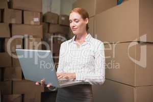 Manager using laptop in warehouse