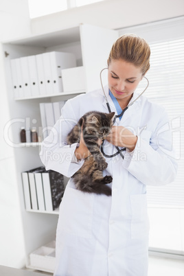 Vet examining a small cat