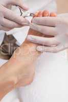 Salon worker using a nail clippers