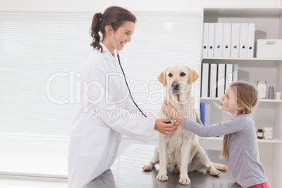 Vet examining a dog with its owner