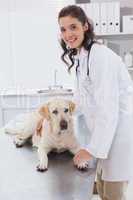 Smiling vet examining a dog