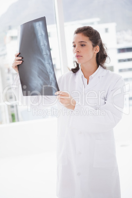 Brunette doctor analyzing xray results