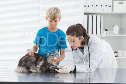 Vet examining a cat with its owner